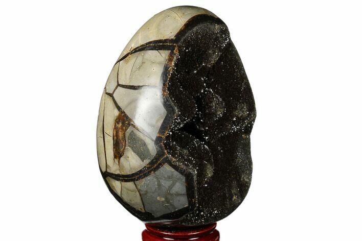 Septarian Dragon Egg Geode - Black Crystals #177420